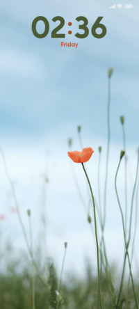 Petaled Flower