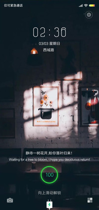 昔年与花