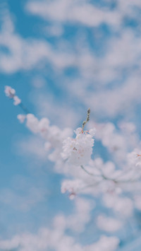 欣赏自然的生机
