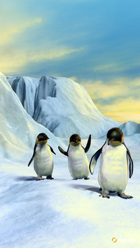 pingu (2)