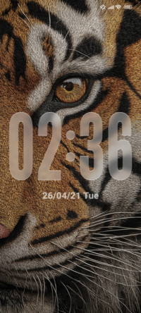 Tiger
