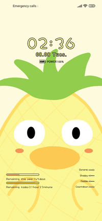 Pineapple Duck