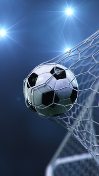 Soccer ball flew into the goal