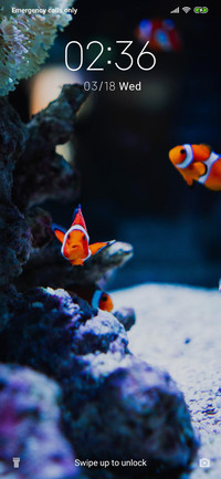 OrangeFish_3MDS