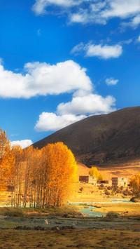 Autumn Scenery On Earth