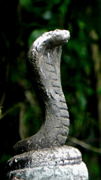 Naga Panchami (6)