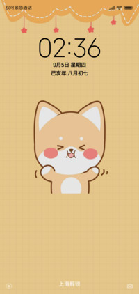 For幸运阳光柴