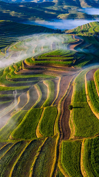 Xihaigu terraced fields