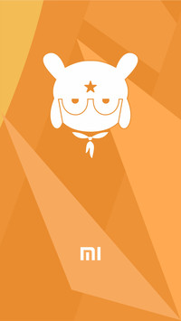Mi Bunny Orange