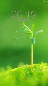 小草青青
