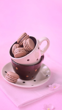 Chocolate macarons