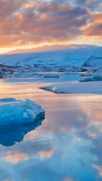 Arctic frost landscape