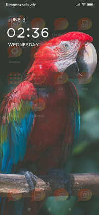MACAWS_DWM19