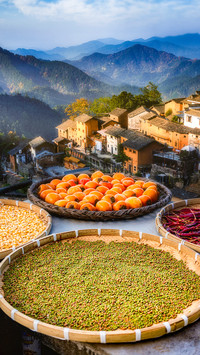 The autumn harvest is depicted in a painting and the