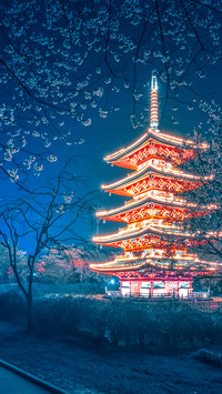 Night view of Wuhan Cherry Garden's Five Towers