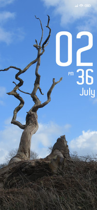 Dead Tree