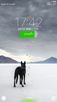 【轻+简】Wolf 
