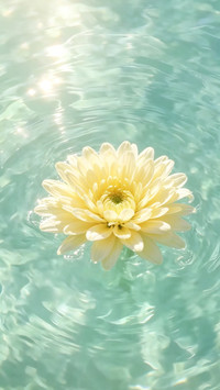 浅夏花朵特辑