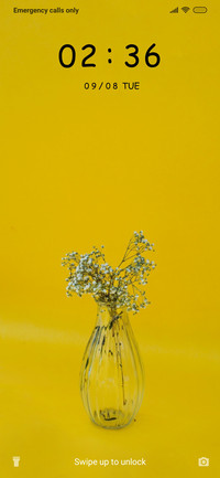 Yellow Flowers_3MDS