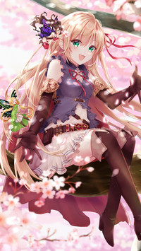 花瓣飞舞