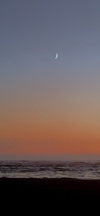 收集浪漫
