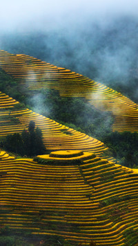 Guangxi tourism tips 36