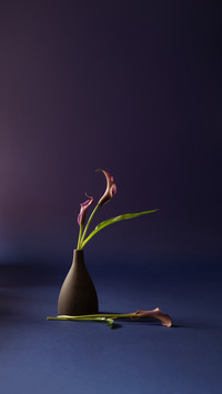 让生活更有仪式感