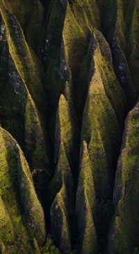 Earth Day (12)