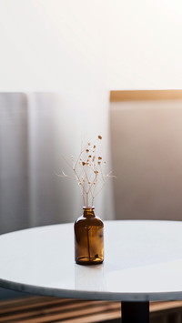Dry flowers in glass bottle