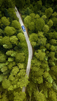 Why are self driving tours popular 29