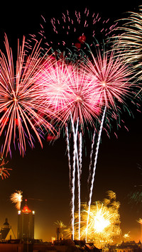 new year (5)