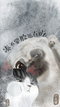 吾皇巴扎黑 (17)
