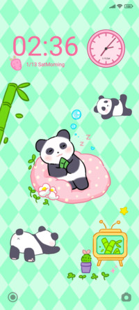Naughty Panda