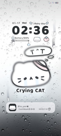 Rain sad cat