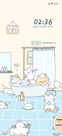 Cat's bathroom
