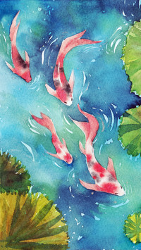 Lucky Koi Fish Illustration