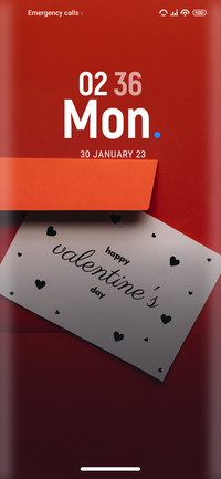Valentine_beauty