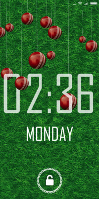 Gravity_Cricket
