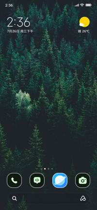 Forest