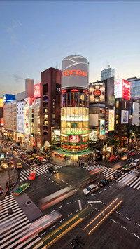 Enjoy Tokyo like locals 76