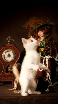 Cute cat-05