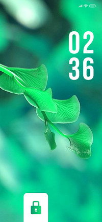 Clover Feel