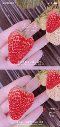 夏季清凉小草莓
