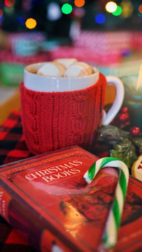 Christmas (7)