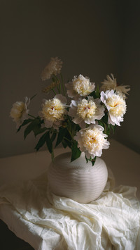 Tips for shooting flowers 2