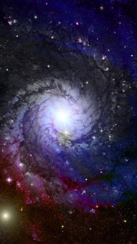 The romance of the universe