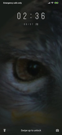 Kites Eye_3MDS