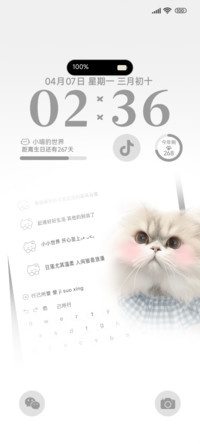 喵喵的聊天框OS