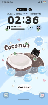椰子小黑猫