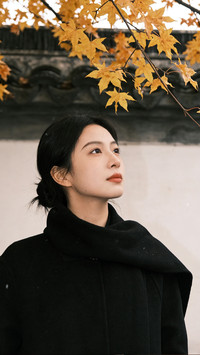 秋意染温柔